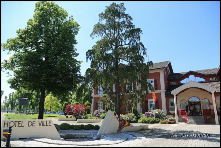 Rhenamap Huningue  768x515