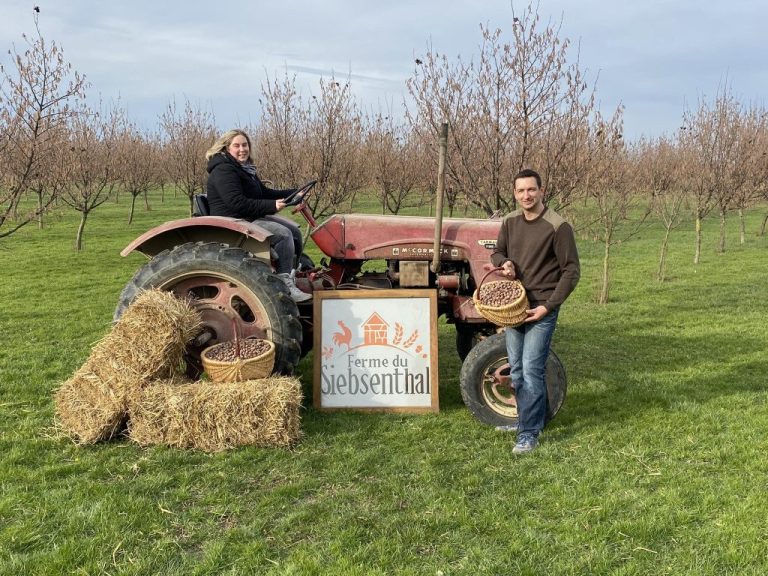 Siebsenthal 1 1024x768 1 768x576