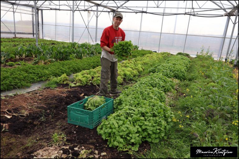 champs d orion01 768x513