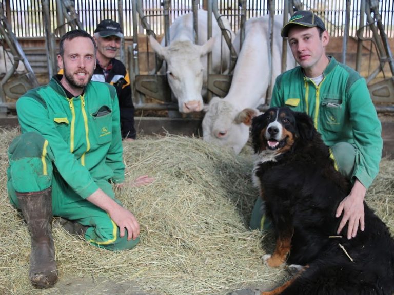 ferme better03 768x576