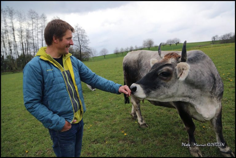 ferme geissberg01 768x515